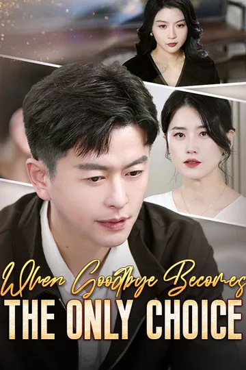 When Goodbye Becomes the Only Choice (DUBBED) poster
