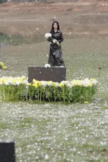 Yengenin intikamı afişi