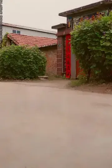 Boşandıktan Sonra Kopyalama Sistemim Oldu afişi