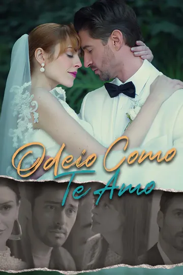 Pôster de Odeio Como Te Amo