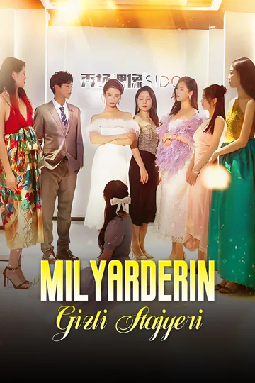 Milyarderin Gizli Stajyeri afişi