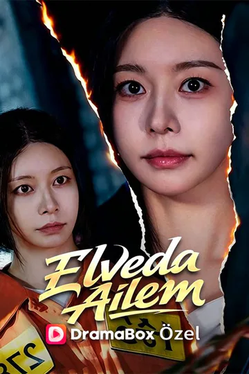 Elveda Ailem afişi