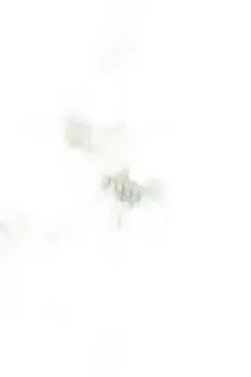 Ezikten ejderha lorduna afişi
