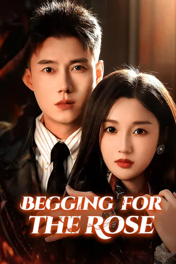Begging for the Rose poster