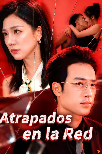 Póster de Atrapados en la Red