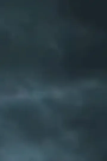 Patronum Kardeşim afişi