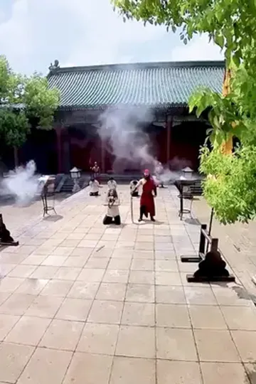 Yeniden Doğan Prensesin İntikamı afişi