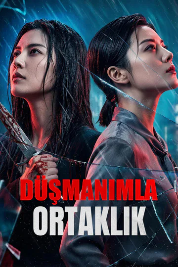 DÜŞMANIMLA ORTAKLIK afişi