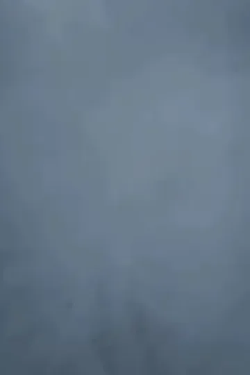 Hizmetçi İki Dünyayı Kurtarır afişi