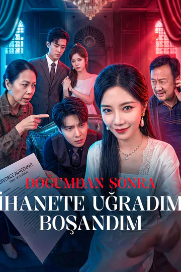 DOĞUMDAN SONRA İHANETE UĞRADIM, BOŞANDIM afişi