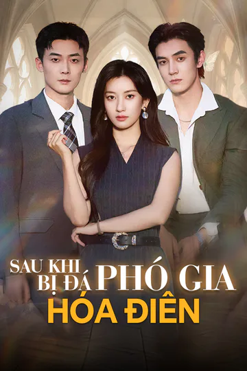 Poster phim (Lồng tiếng) Sau Khi Bị Đá, Phó Gia Hóa Điên