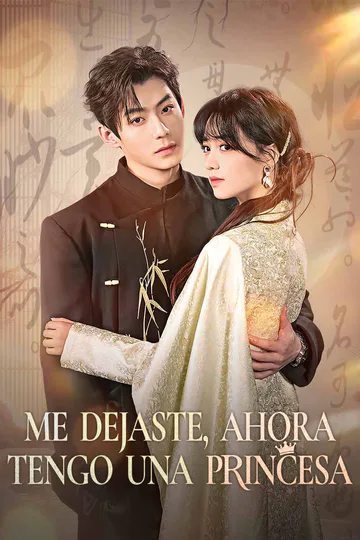 Póster de Me dejaste, ahora tengo una princesa