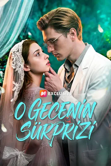 O Gecenin Sürprizi afişi
