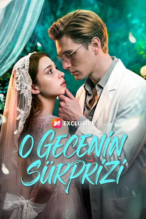 O Gecenin Sürprizi afişi