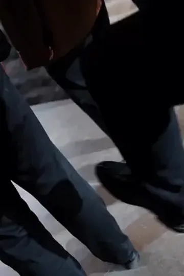 Üstat şifacının intikamı afişi