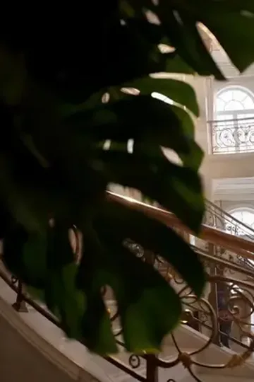 Istri kaya pelindung keluarga afişi