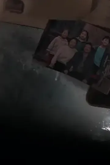 Kardeşlerin dönüşü afişi
