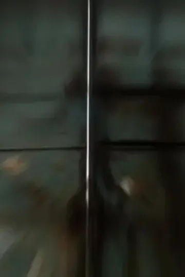 Zorba imparatoriçemin eşi afişi