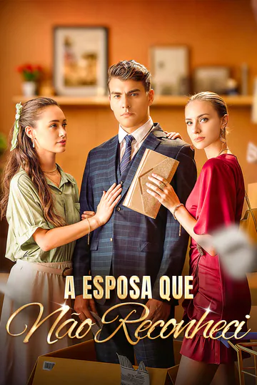Pôster de A Esposa que Não Reconheci(Dublado)