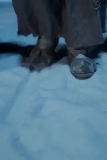 Naip prensin uğur yıldızı afişi