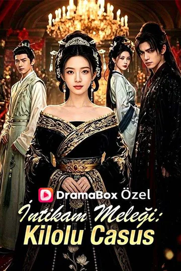İntikam Meleği: Kilolu Casus afişi