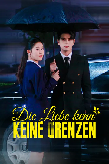 Poster von Die Liebe kennt keine Grenzen