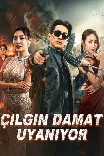 Çılgın Damat Uyanıyor afişi
