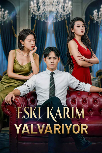 Eski Karım Yalvarıyor afişi