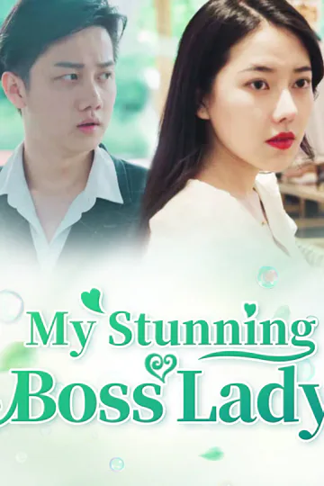 My Stunning Boss Lady poster