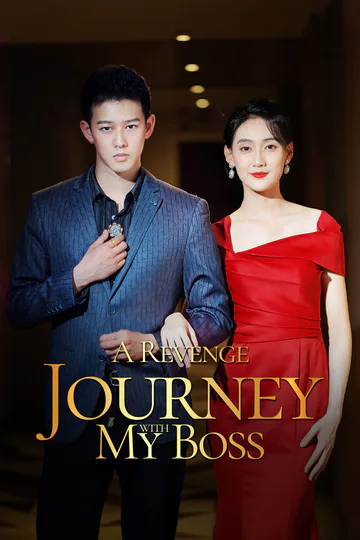 A Revenge Journey with My Boss poster
