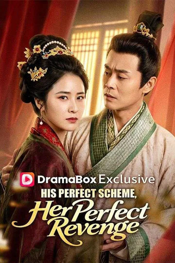 His Perfect Scheme, Her Perfect Revenge poster