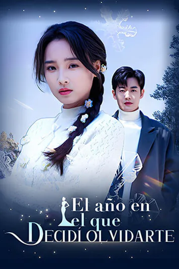 Póster de El año en el que decidí olvidarte
