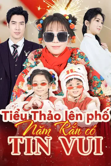 Poster phim Tiểu Thảo lên phố, năm Rắn có tin vui