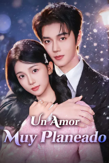 Póster de Un Amor Muy Planeado