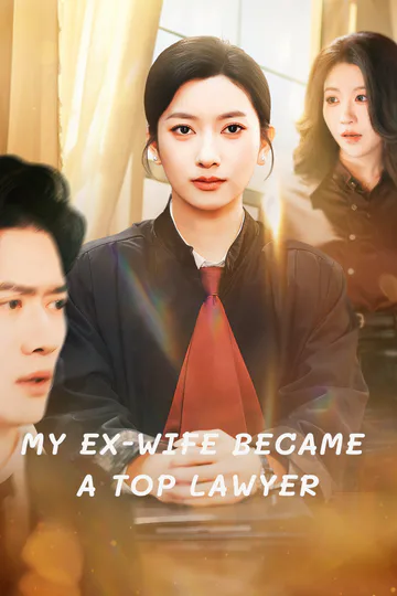 My Ex-Wife Became a Top Lawyer poster