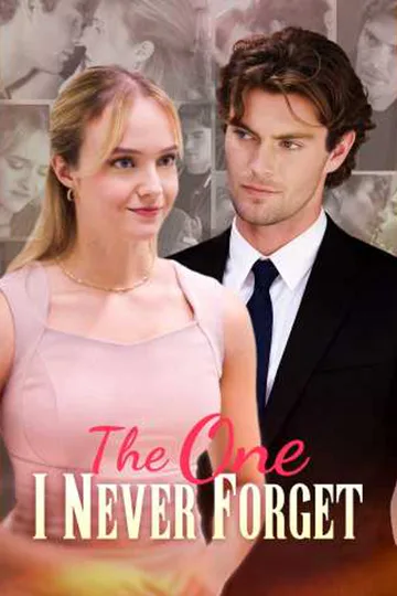 The One I Never Forget poster