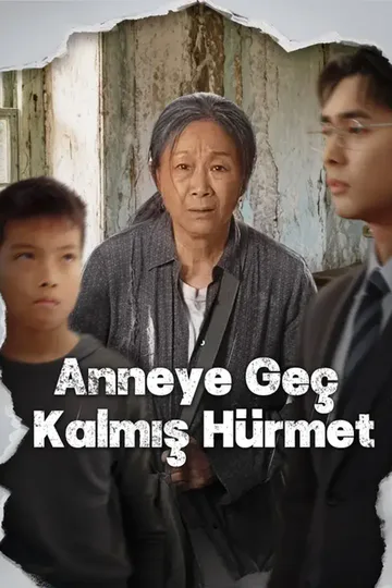 Anneye Geç Kalmış Hürmet afişi