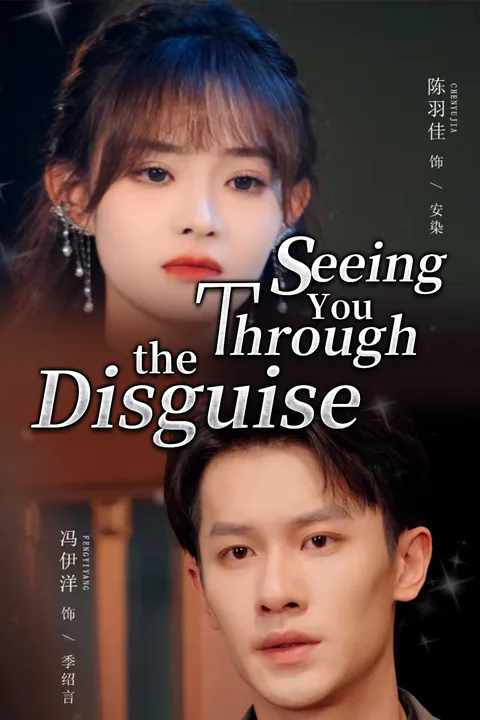 Seeing You Through the Disguise poster