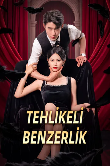 TEHLİKELİ BENZERLİK afişi