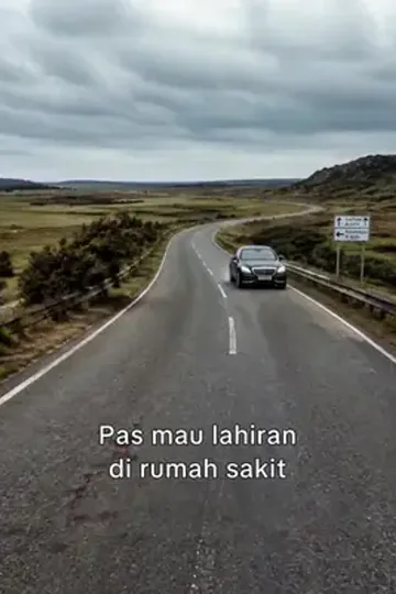 Ditinggal suami demi anjing afişi