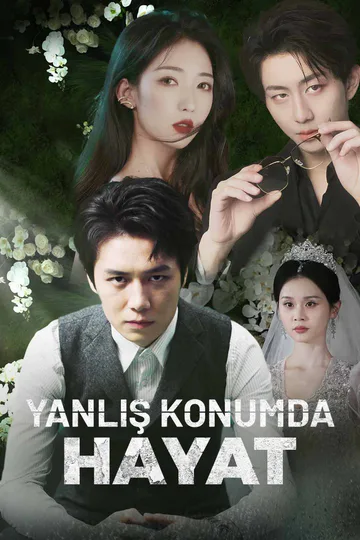 Yanlış Konumda Hayat afişi