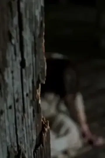 Çılgın güzelliğin intikamı afişi
