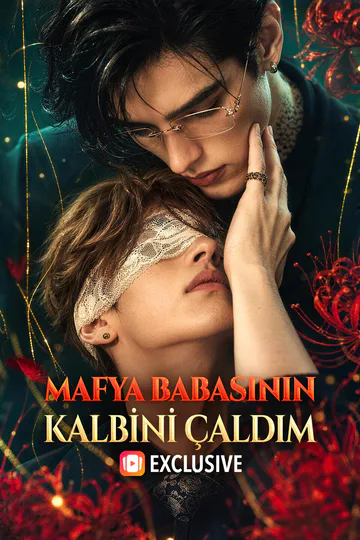 MAFYA BABASININ KALBİNİ ÇALDIM afişi