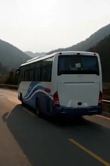 Varis Kızın Dağlık Koruyucusu afişi