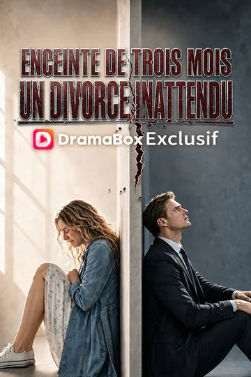 Affiche de Enceinte de Trois Mois, un Divorce Inattendu (Doublé)