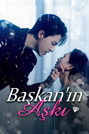 Başkanın Aşkı afişi