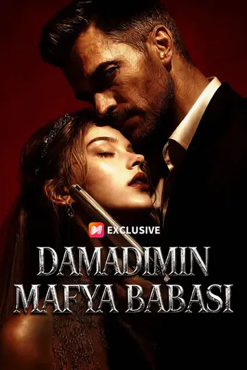 Damadımın Mafya Babası afişi