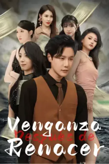 Póster de Venganza después de renacer
