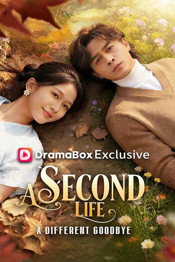 A Second Life, A Different Goodbye poster