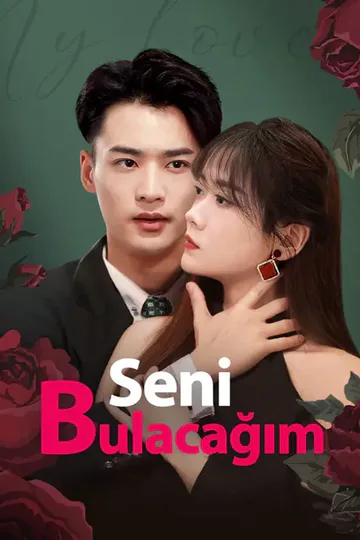 Seni Bulacağım afişi